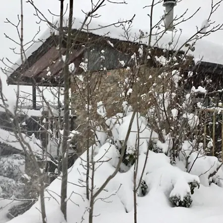 Patty&co Vakantiehuis Encamp